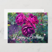 バーガンディアイスバーグローズ#3-2の誕生日ポストカード ポストカード (正面/裏面)