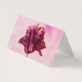 バーガンディーピンクオダマキ（植物）カード