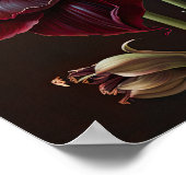 バーガンディ・アマリリス花アートプリントポスター ポスター (角)