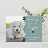 バーキングスピリッツ明るい子犬の写真 シーズンカード (スタンド正面)