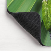 バーキングツリーカエル（ハイラグラチオサ） マウスパッド (コーナー)