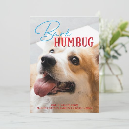 バークおもしろいフマグのクカスタムラス写真 シーズンカード (スタンド正面)