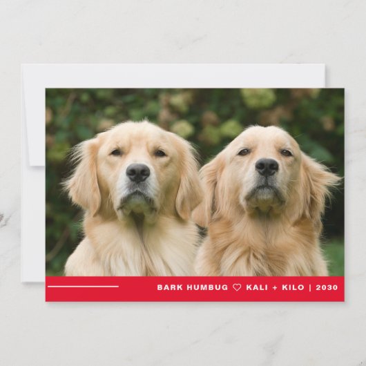 バークおもしろいフマグ犬の写真クリスマスパーソナライズされた シーズンカード (正面)