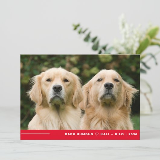 バークおもしろいフマグ犬の写真クリスマスパーソナライズされた シーズンカード (スタンド正面)