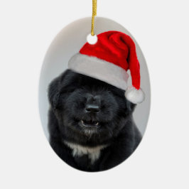 バークハンブグ クリスマス オーナメント