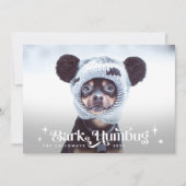 バークフマグおもしろい犬クリスマス シーズンカード (正面)