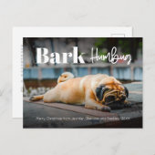 バークフンバグかわいいモダンカスタムフォトホリデーポスト シーズンポストカード (正面/裏面)