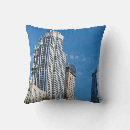 バークレイタワーマンハッタンニューヨークシティ クッション (裏面)