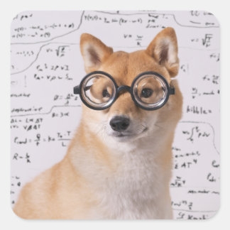 バークレー教授スクエアステッカー（光沢） スクエアシール