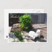 バークレー通り葉書 ポストカード (正面/裏面)