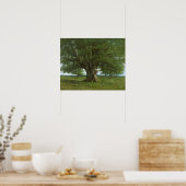 バーシンゲトリックスというカシの木 ポスター (キッチン)