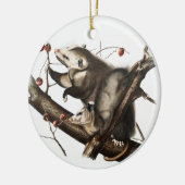 バージニアオポスサムディデルフィスバージニアイラストレーション セラミックオーナメント (左)