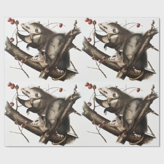 バージニアオポスサムディデルフィスバージニアイラストレーション ラッピングペーパー (フラット)