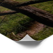 バージニアサンセット ポスター (角)