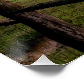 バージニアサンセット ポスター (コーナー)