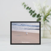 バージニアビーチ ポストカード (スタンド正面)