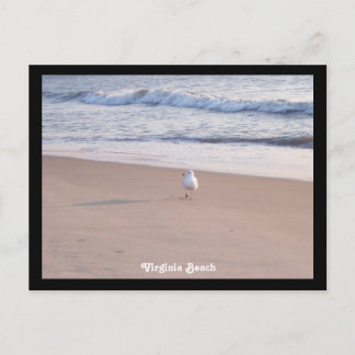 バージニアビーチ ポストカード