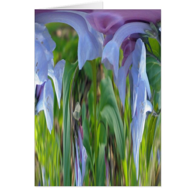バージニアブルーベル抽象芸術 (正面)