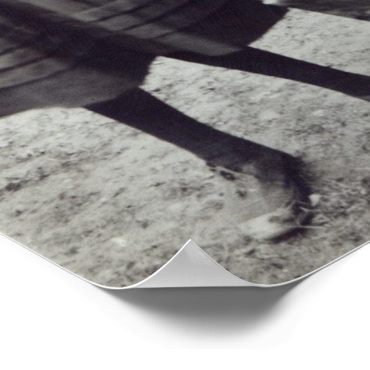 バージニア州とヴァネッサ・スティーブン、1894年セント・イヴ州 ポスター (角)