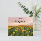 バージニア州のひまわり ポストカード (スタンド正面)