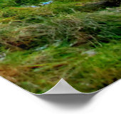 バージニア州のフィルポット湖 ポスター (角)