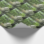 バージニア州アパラチア・トレイル ラッピングペーパー (角)