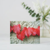 バージニア州クリーパ葉ーのはがき ポストカード (スタンド正面)