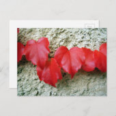 バージニア州クリーパ葉ーのはがき ポストカード (正面/裏面)