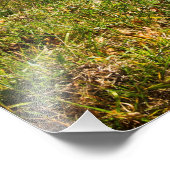 バージニア州シェナンドア国立公園の秋 フォトプリント            (角)