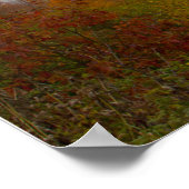 バージニア州シェナンドア国立公園の霧 ポスター (角)