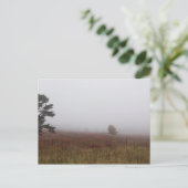 バージニア州シェナンドア国立公園ビッグメドウズ ポストカード (スタンド正面)