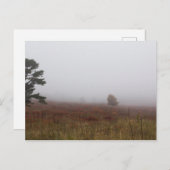 バージニア州シェナンドア国立公園ビッグメドウズ ポストカード (正面/裏面)