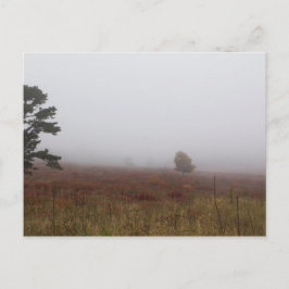 バージニア州シェナンドア国立公園ビッグメドウズ ポストカード