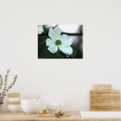 バージニア州ドッグウッドの花涙ドロップポスター ポスター (キッチン)