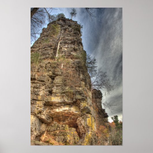 バージニア州ナチュラルキムネス ポスター (正面)