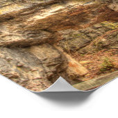 バージニア州ナチュラルキムネス ポスター (角)