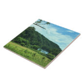 バージニア州ニューリバー タイル (側面)