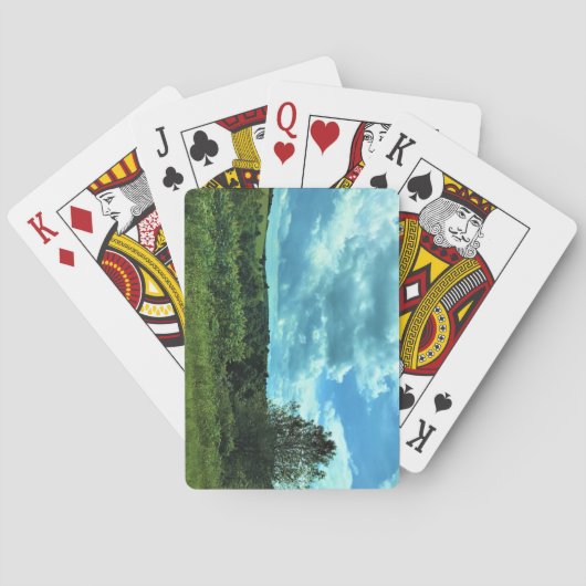 バージニア州フロイドの近くのブルーリッジパークウェイ トランプ (裏面)