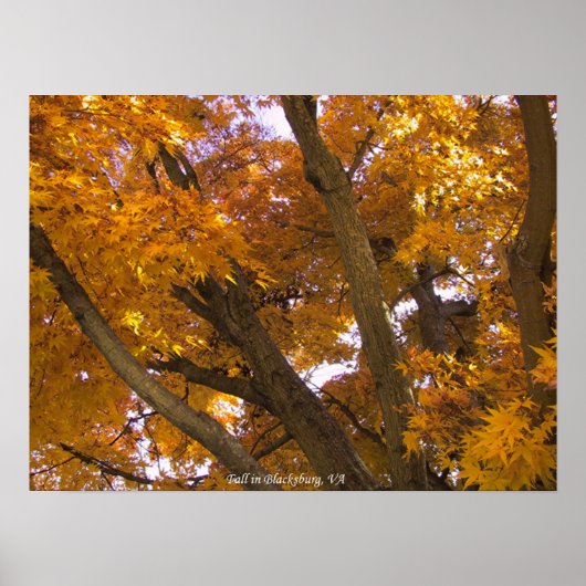 バージニア州ブラックスバーグの秋 ポスター (正面)