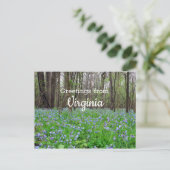 バージニア州ブルーベルフラワーズ ポストカード (スタンド正面)