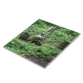 バージニア州メイブリー・ミルにあるウイスキー蒸留器 タイル (側面)