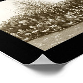 バージニア州写真1913 ポスター (角)