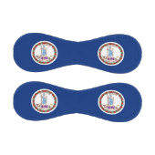 バージニア州旗を持つ愛国野球 野球ボール (パネル)