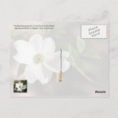 バージニア州花：ハナミズキ ポストカード (裏面)