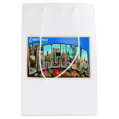 バージニア州VAヴィンテージラージレターの州 ミディアムペーパーバッグ (正面)