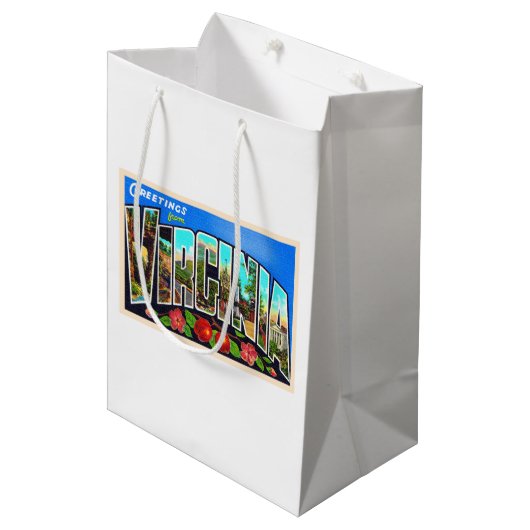 バージニア州VAヴィンテージラージレターの州 ミディアムペーパーバッグ (正面アングル)