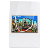 バージニア州VAヴィンテージラージレターの州 ミディアムペーパーバッグ (裏面)