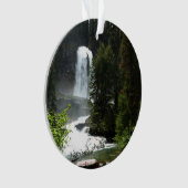 バージニア滝アットグレイシャナショナルパーク オーナメント (正面)