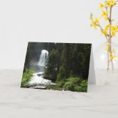 バージニア滝アットグレイシャナショナルパーク カード (黄色い花)