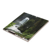 バージニア滝アットグレイシャナショナルパーク タイル (側面)